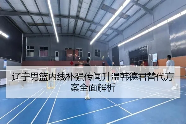 辽宁男篮内线补强传闻升温韩德君替代方案全面解析（HTH）